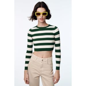 Zara long sleeve cropped top